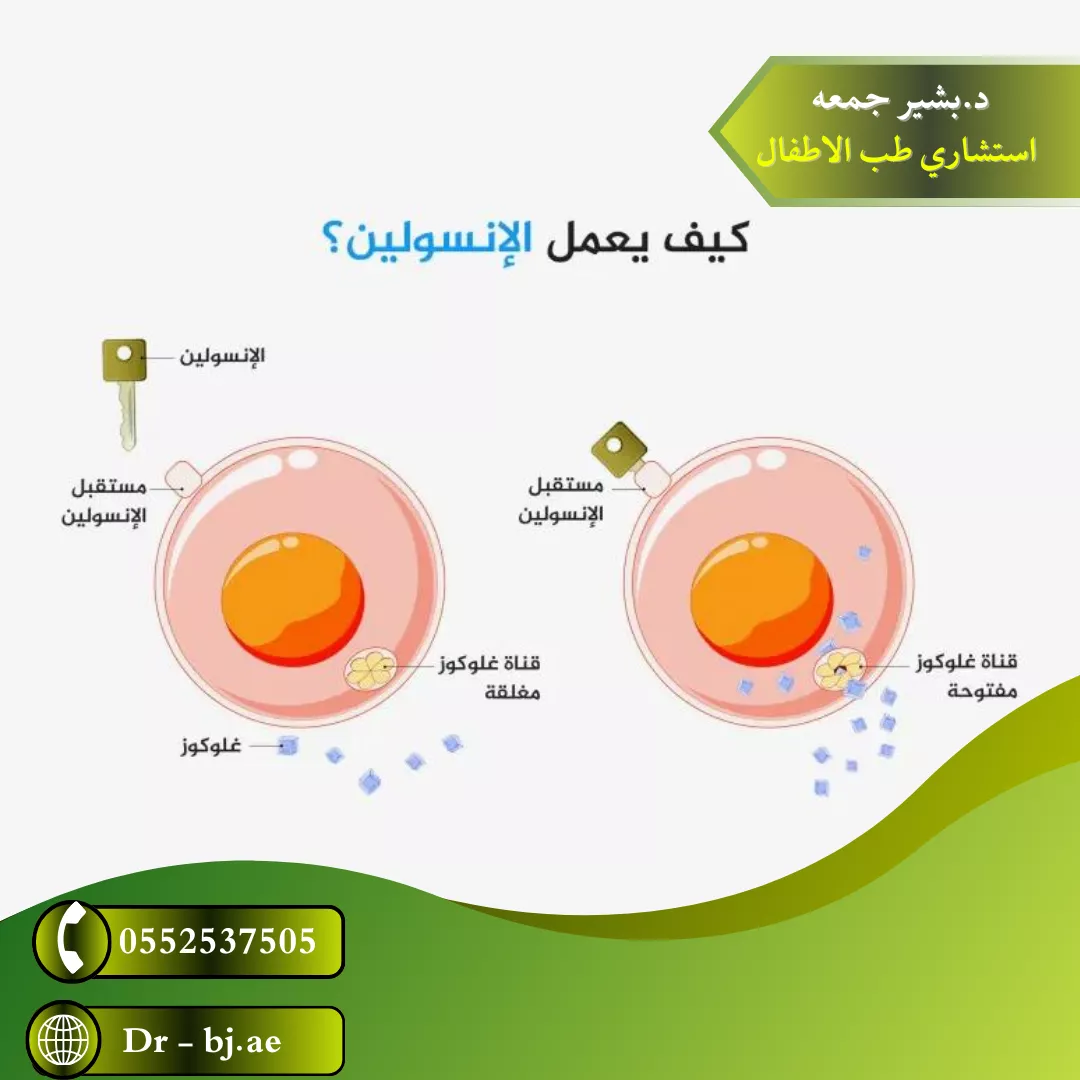 طريقة عمل الانسولين في علاج السكري